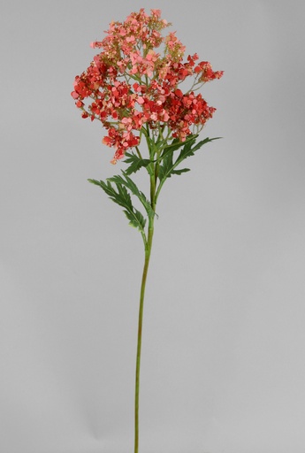 [6507] Spiraea mum spray 