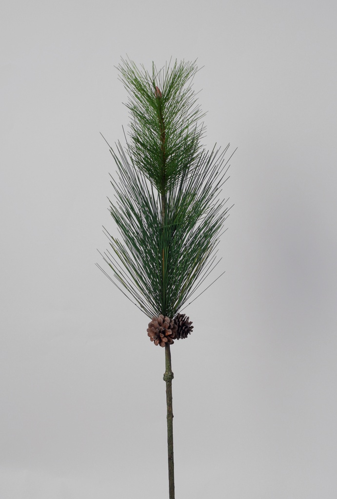 Pine spray with cones 