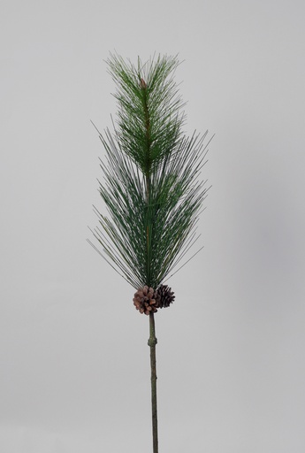 [6113] Pine spray with cones 
