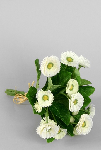 [5453] bellis bouquet cream 
