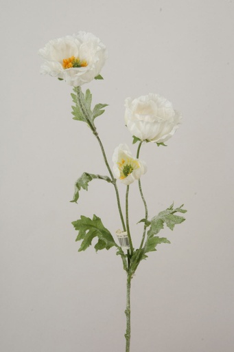 Poppy cream 