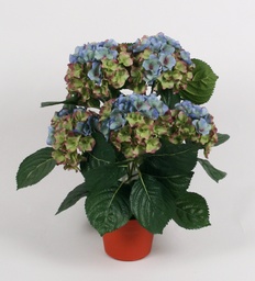 [153-1-48] Hydrangea (Alternative 8)