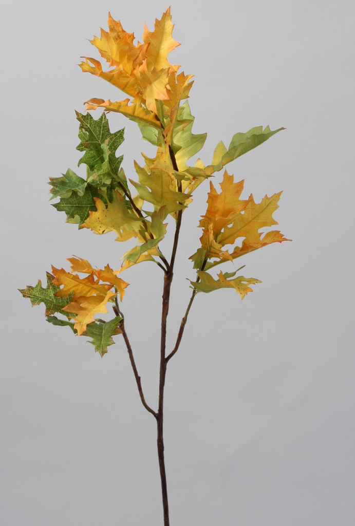 oak spray yellow green 