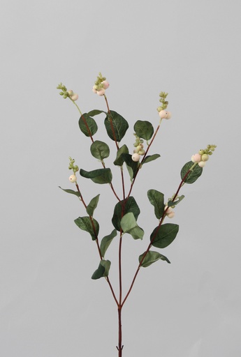 snowberry spray pink 