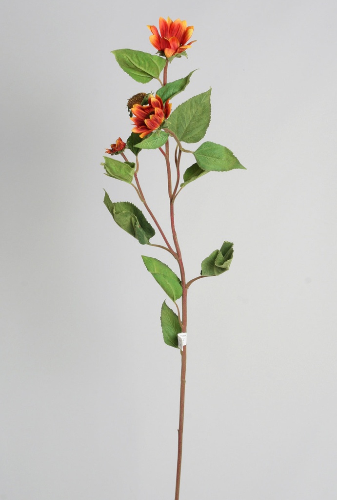 sunflower spray orange 