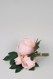 [4927] peony bundle (Alternative 1)