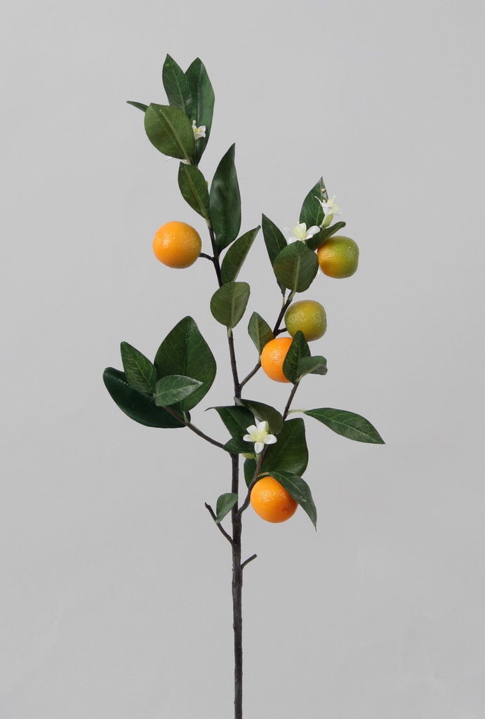 orange spray 