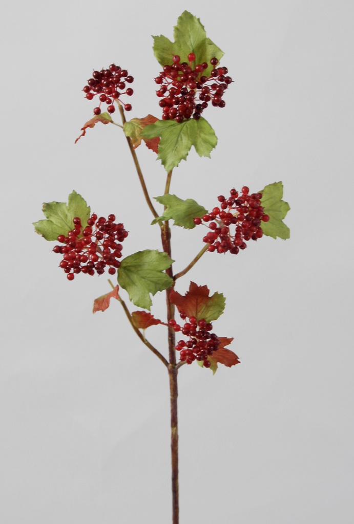 Snowball berry spray red 