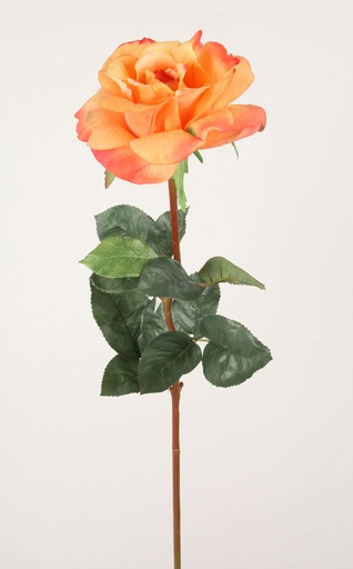 [6236] rose orange 