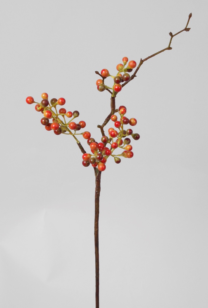 sparrow berry 