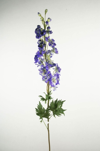 [6757] delphinium  blue 