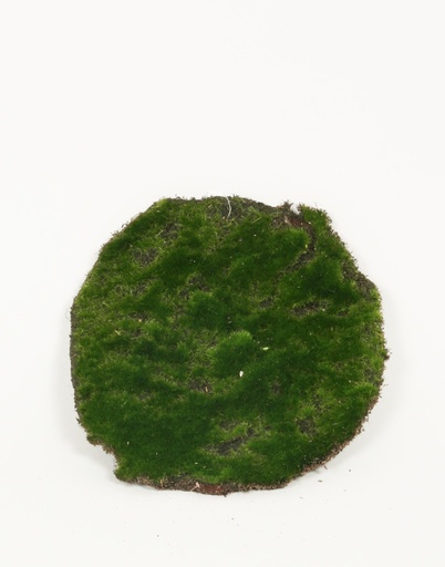 moss mat 