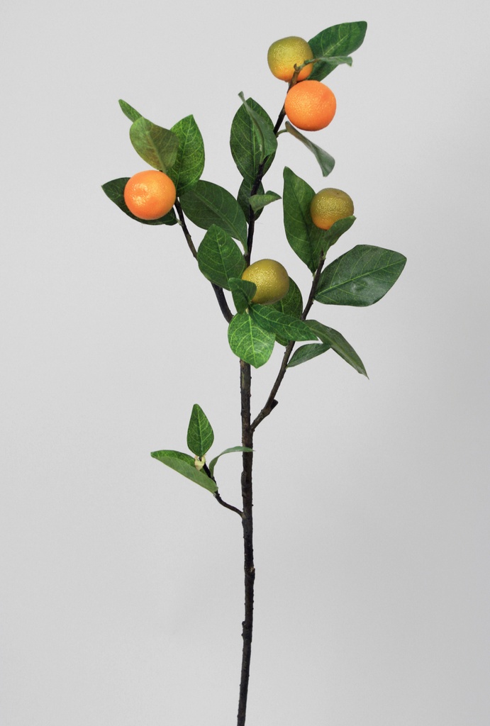 orange spray 