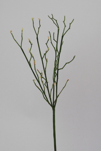 [6784] blueberry spray 