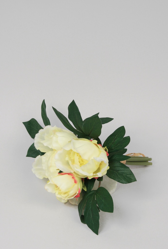 peony bundle