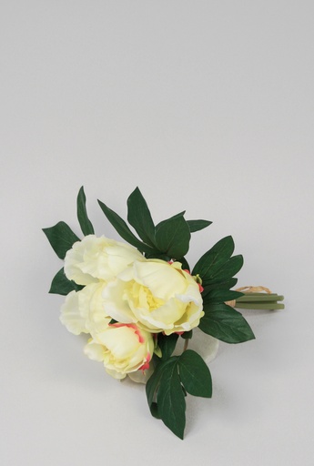 peony bundle