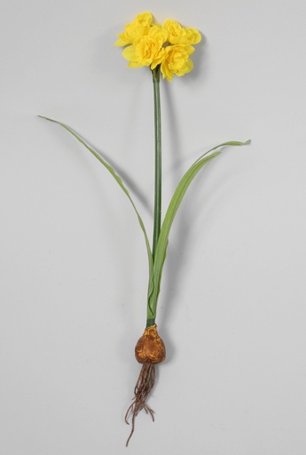 [7076] daffodil spray 