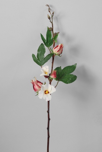 [6372] roselle flower spray 