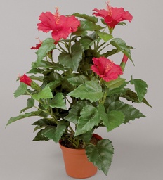 [8003-1-01] Hibiscus (Alternative 1)