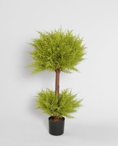 [1124-120] cypress yellow green 