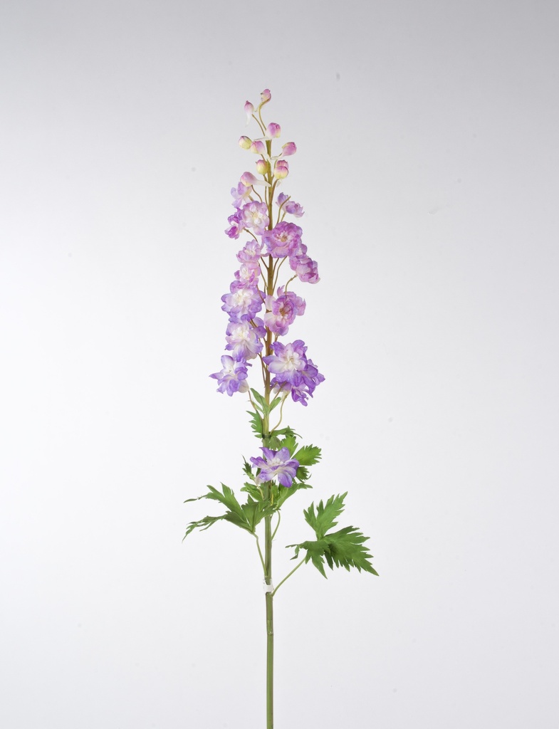 delphinium lilac 