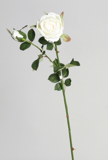 [6815] rose spray white 