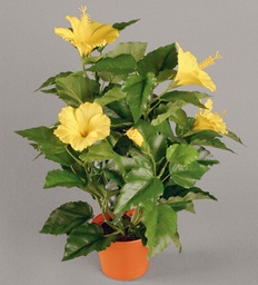 [8003-1-02] Hibiscus (Alternative 2)