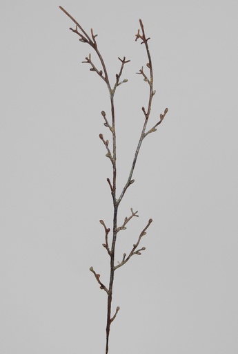 [6826] birch spray 