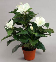 [8003-1-09] Hibiscus (Alternative 4)