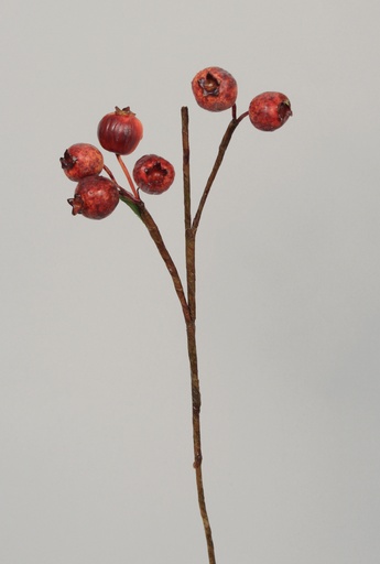 [6844] rosehip burgundy 