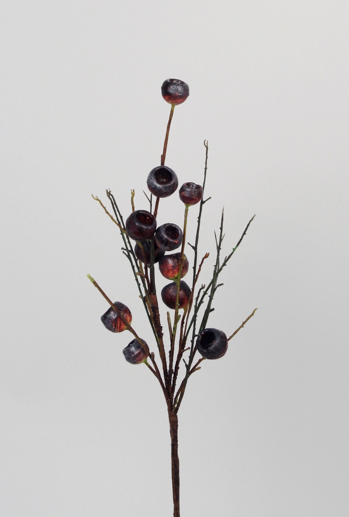berry spray 