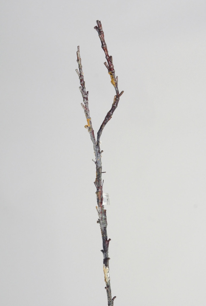 sloe branch 
