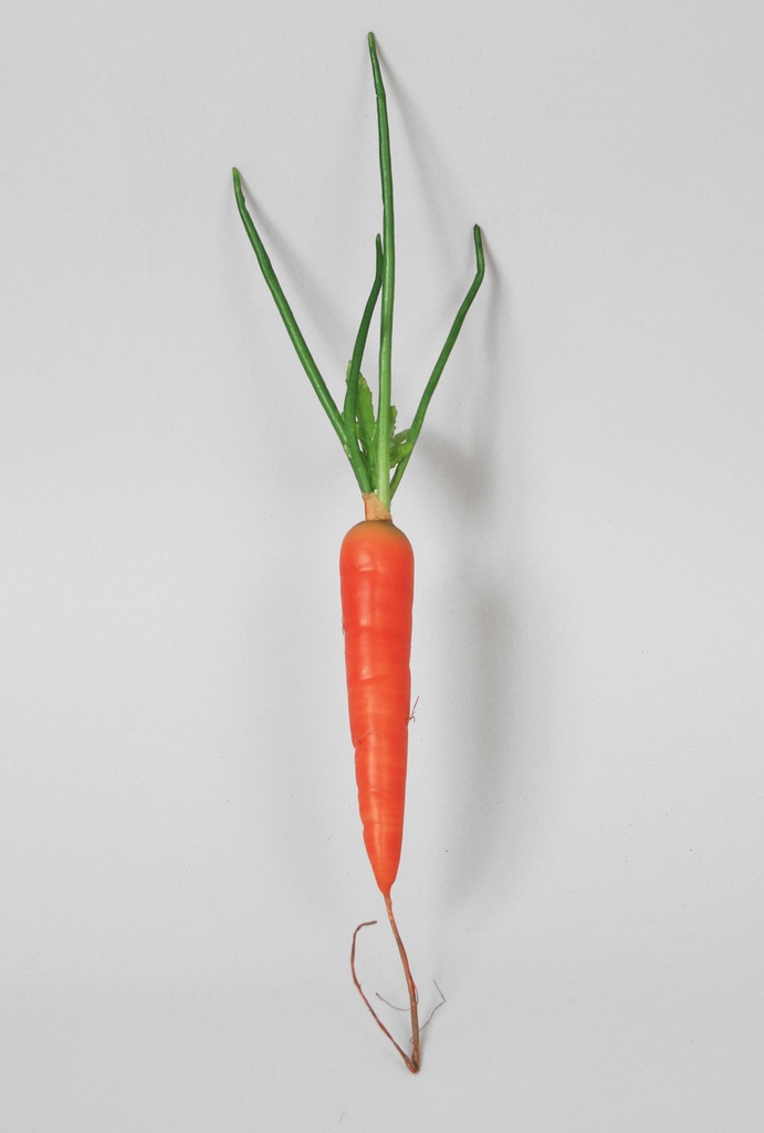 danvers carrot 