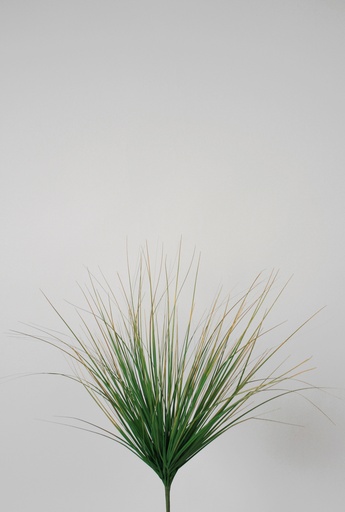 grass bush 