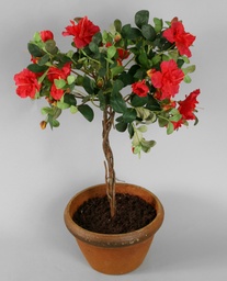 [9372] Azalea (Alternative 1)