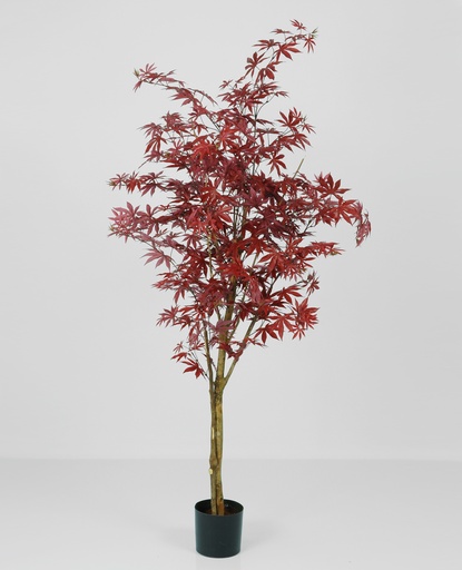 [1145-140] maple red 