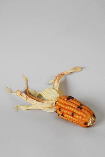 [6907] corn 