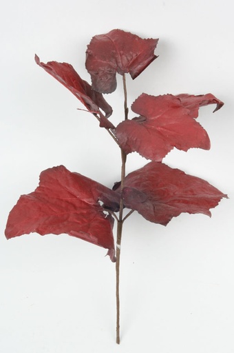 grape leaf spray 