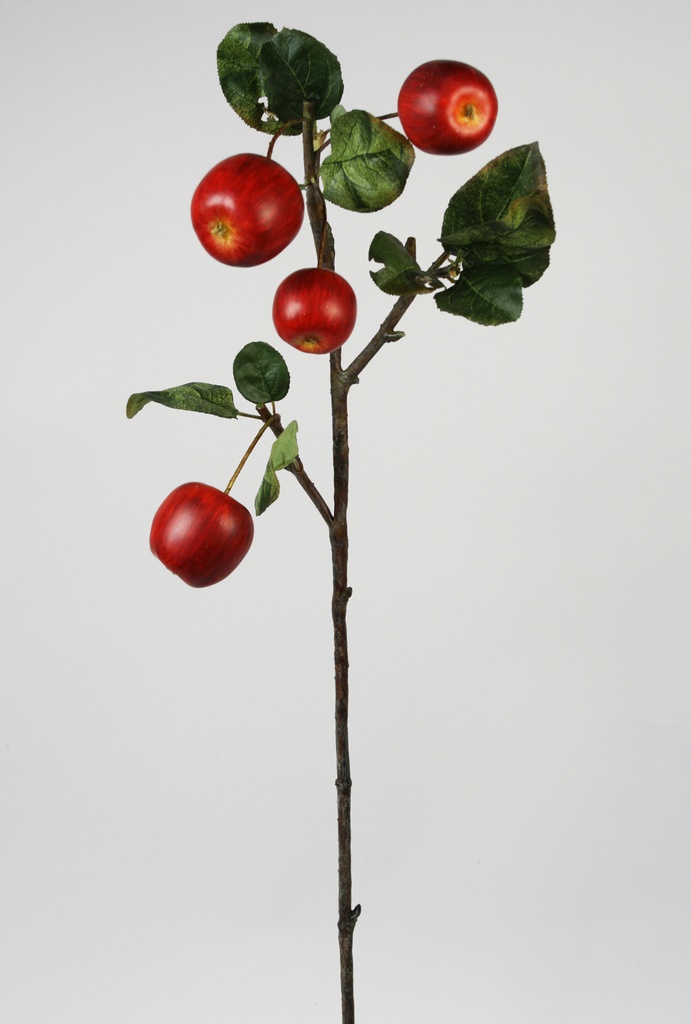 apple spray 