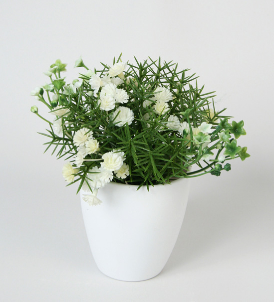 grass in pot 