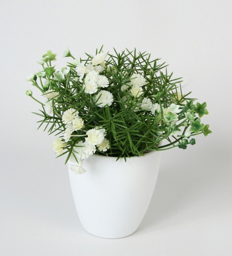 grass in pot 