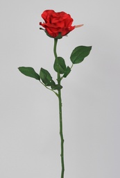 [4929] Rose (Alternative 1)