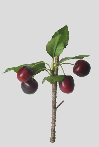 [6950] cherry burgundy 