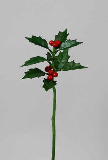 [6267] holly spray red 