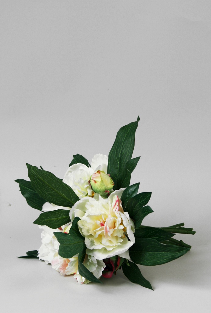 peony bouquet cream 
