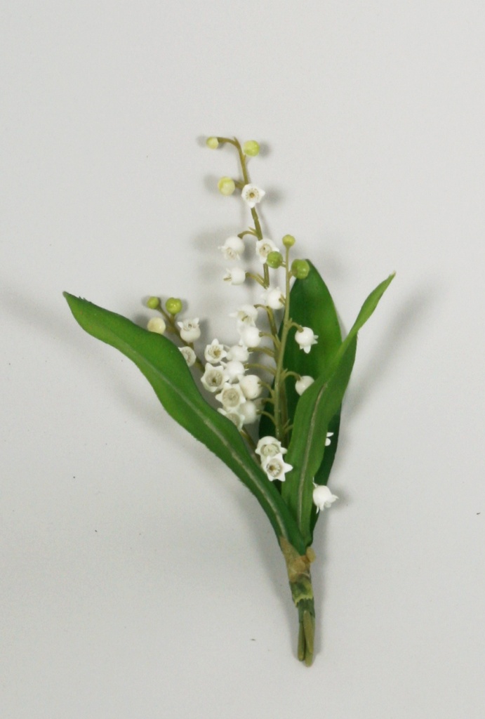 lily of the valley 