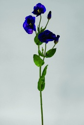 [9717] Lisiantus (Alternative 1)