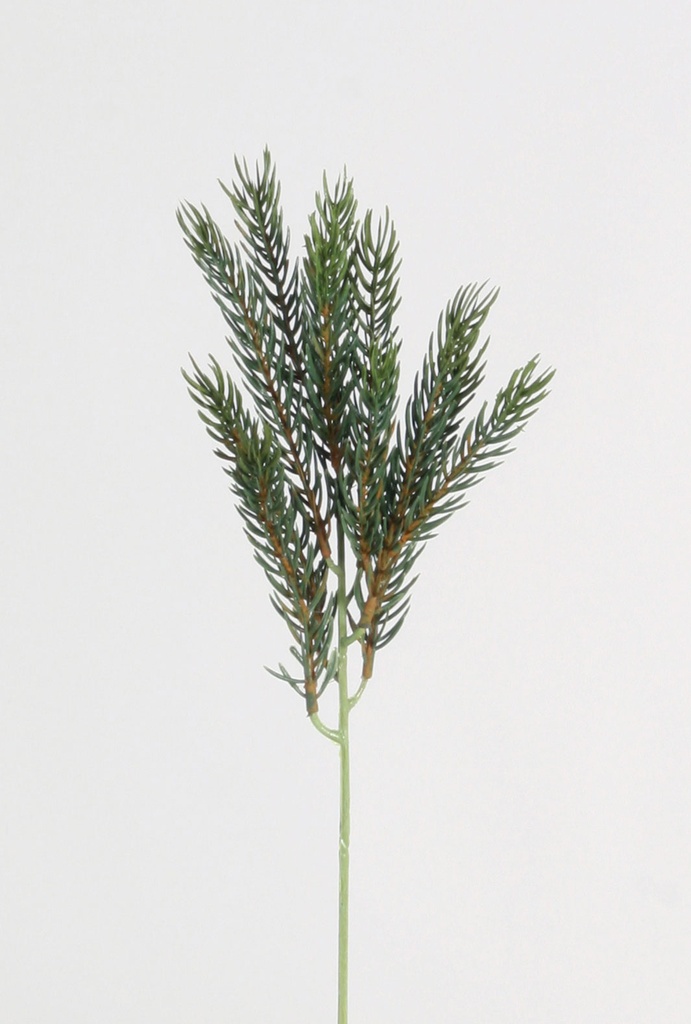 picea pick 