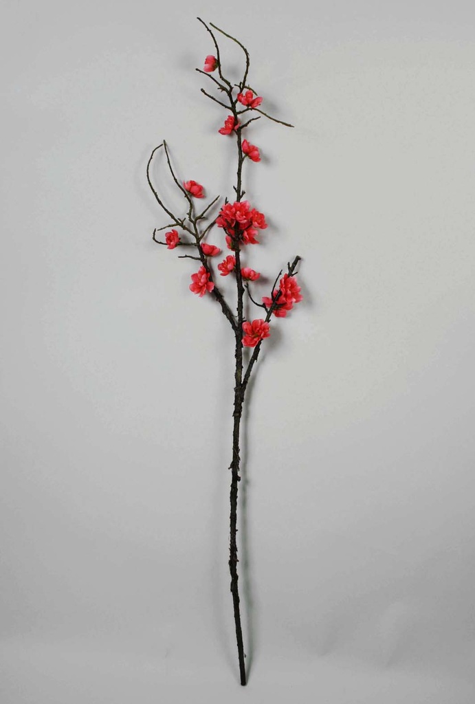 peach blossom spray 