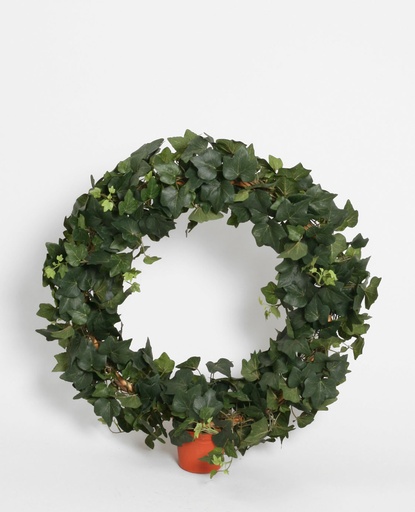 [5760] ring ivy 